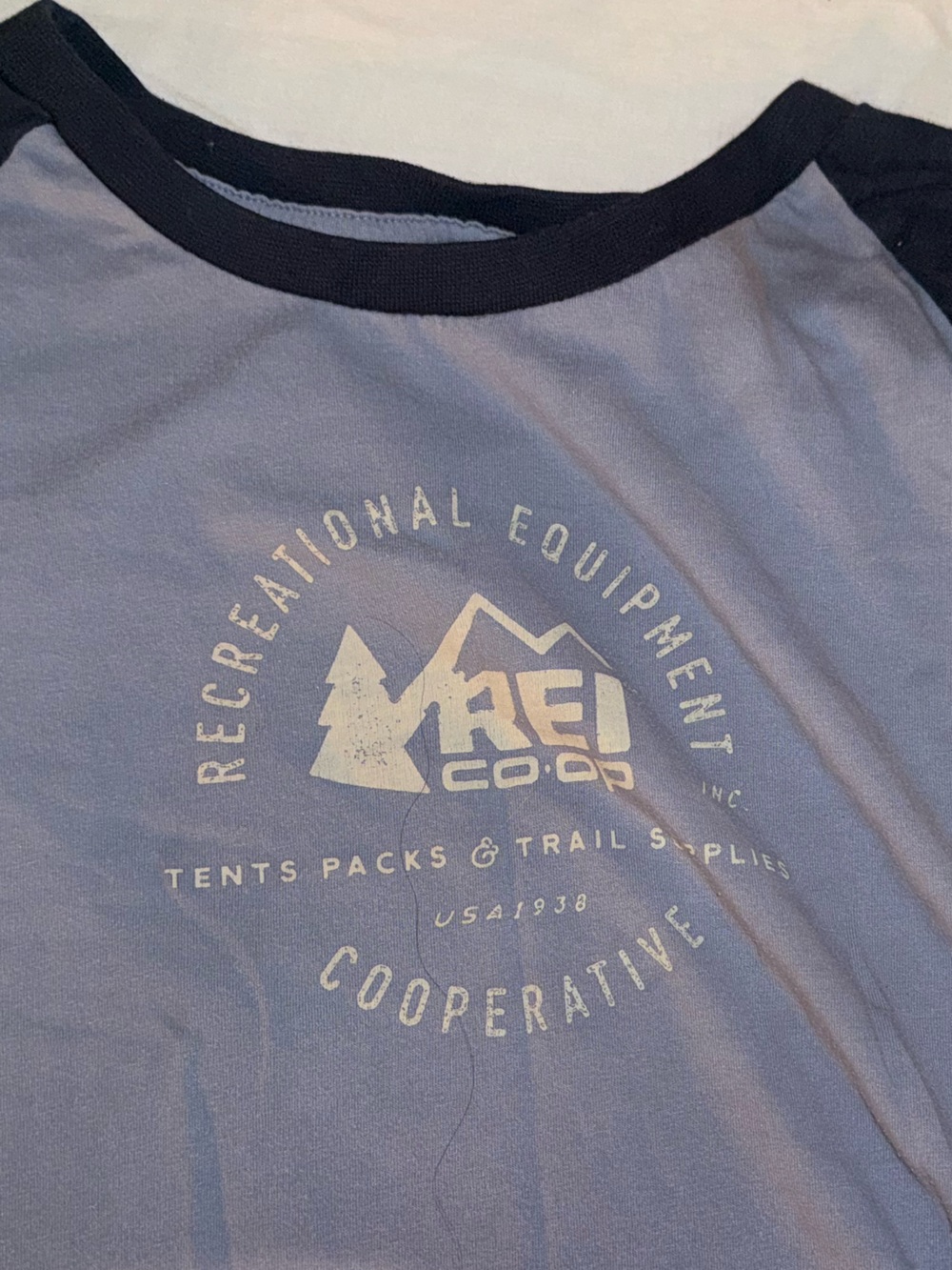 REI Two-Tone Raglan Tee in Light Blue with Navy Sleeves
